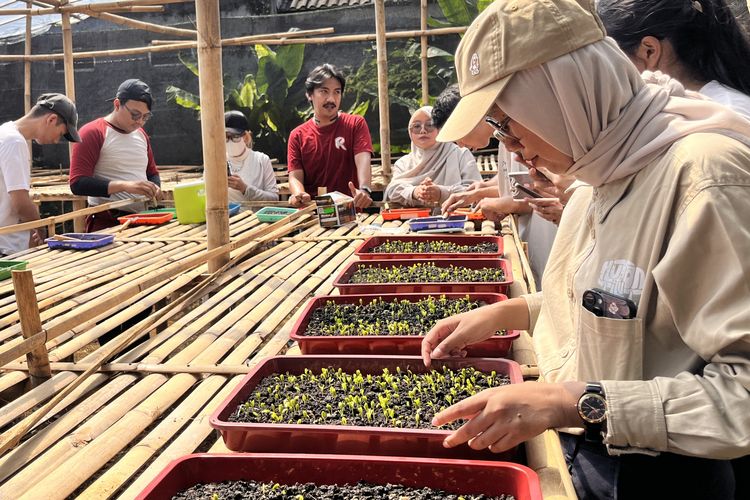 PERINGATI HARI HUTAN INDONESIA,PERSEMAIAN BIBIT.